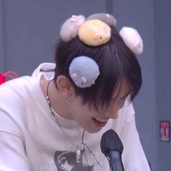 lheeslvr's tweet photo. my pretty pretty little hamster https://t.co/AFMEFsIZQv