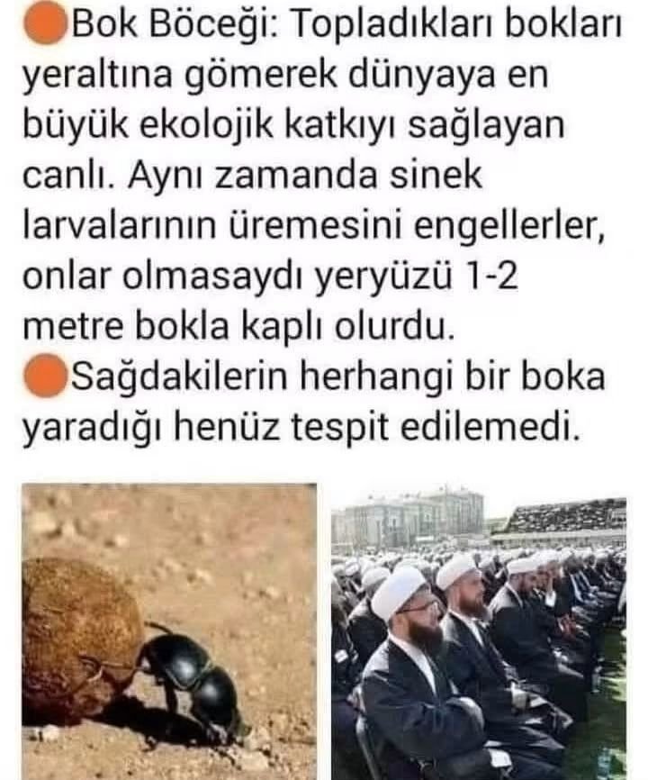 fikretsarolu8's tweet photo. https://t.co/zJZdMYP9tS