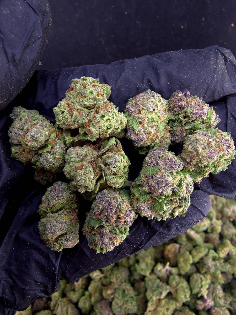 shawty_d0px4mao's tweet photo. 🏞️【 🌞 Evap • Farm ภาคเหนือ🪴 】🇹🇭
🍿 Size Pop 🌞 ✨

🔸 Pop RUBY RED 💎🍷
🔸 Hybrid 🔸THC28%

Aroma🔺 Blueberry 🫐 Spicy 🌶️ Diesel ⛽

💸100G = 799฿ , 1KG = 4,700฿💸

🛍️สนใจสินค้า @Line 
ทักแชท ตามสั่งได้เลยครับ🔻
Line ID (.) ▶️ 0924153858.
https://t.co/Srs5oTp9QA

#weed #og https://t.co/Wje3IVdLbd