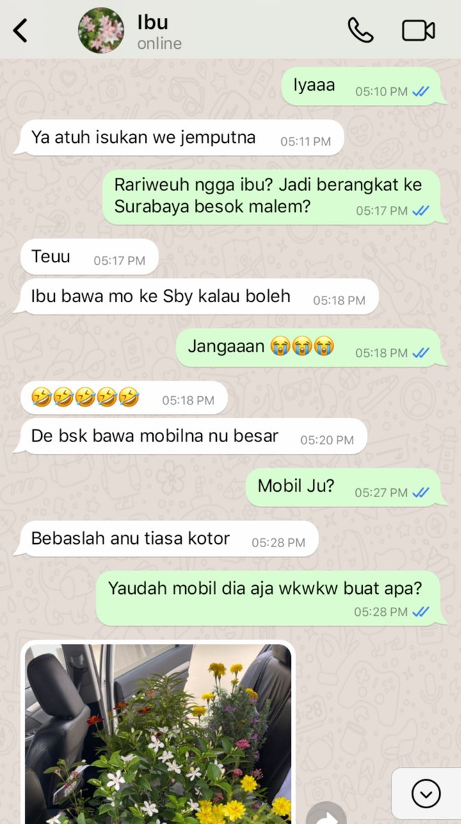 nekozju's tweet photo. kabar terkini little mo di tangan enin https://t.co/jOfjjAjPX0