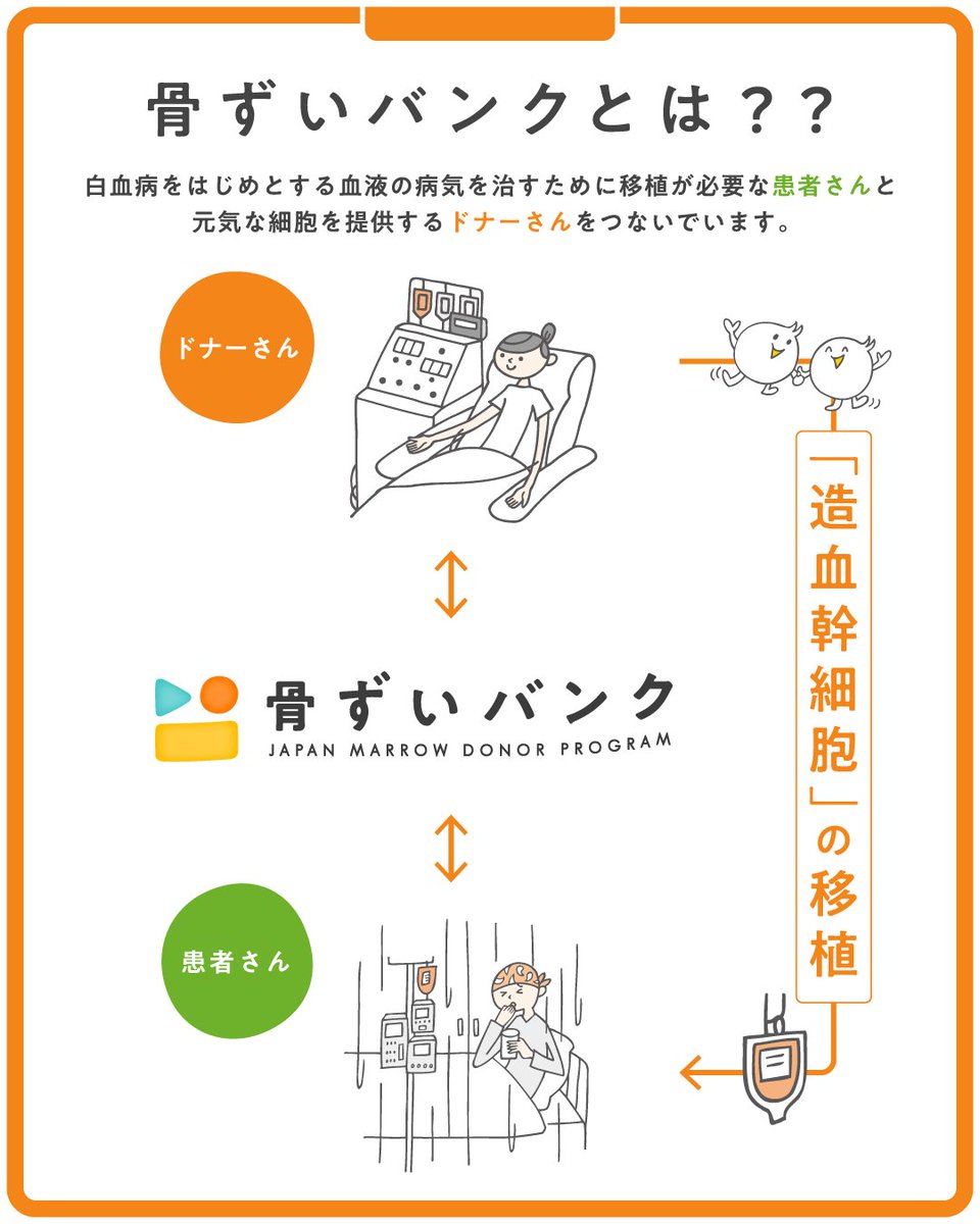 JMDP1789's tweet photo. 💬#骨ずいバンク ってなに？
￣￣￣￣￣￣￣￣￣￣￣￣￣
白血病をはじめとする血液の病気の治療では、血液のモトとなる「造血幹細胞」の移植が必要になることがあります。

骨ずいバンクは、移植を必要とする【患者さん】と
造血幹細胞を提供してくださる【ドナーさん】をつなぐ、公的な仕組みです。

患者さんとドナーさんが安心して移植・提供を迎えられるよう、さまざまなサポートを行っています。