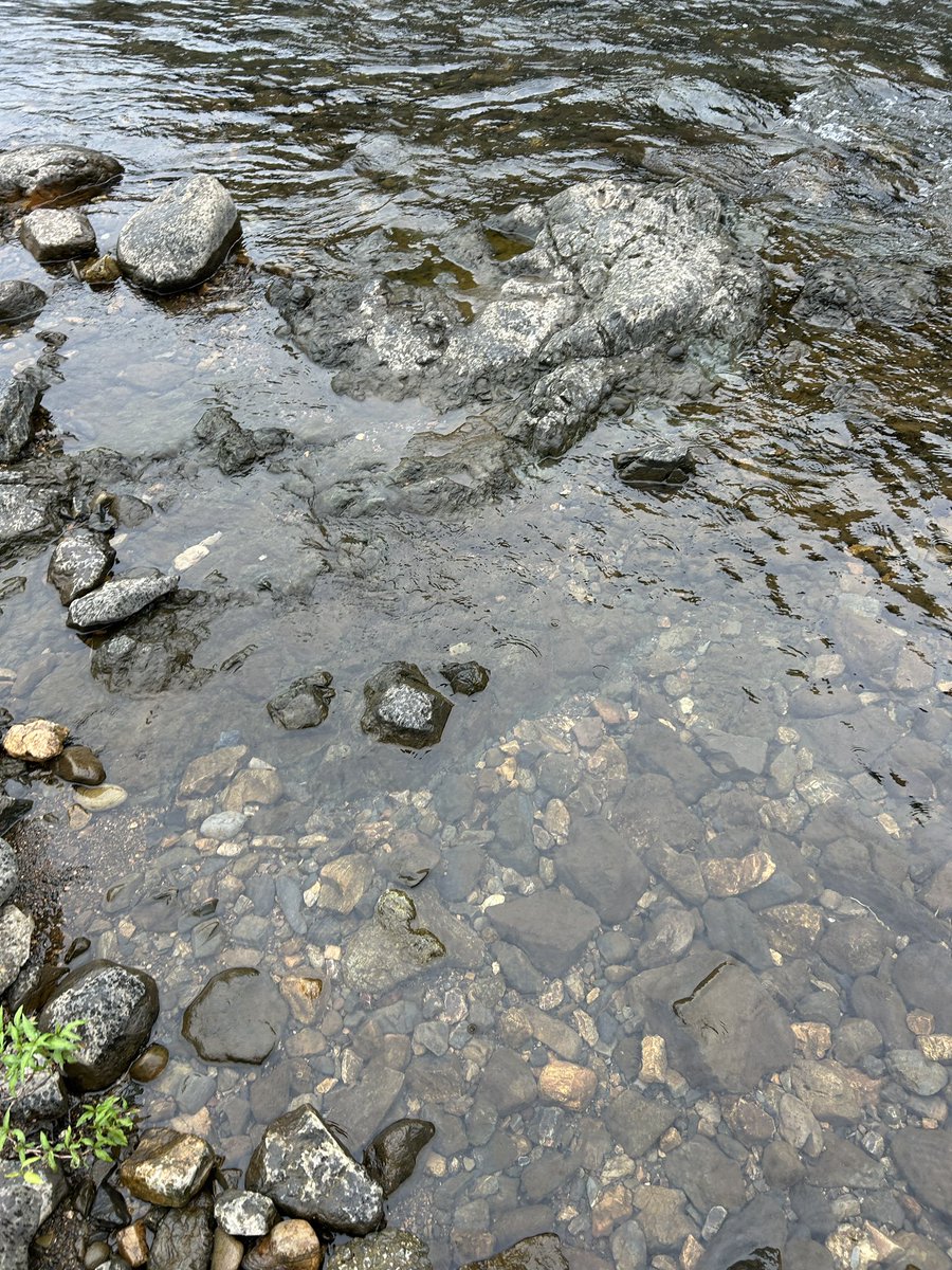 kansai_minerals's tweet photo. 久々に川へ入りパンニング調査。

予定外の雨で撤収となりましたが、短い時間でしっかりまとまった粒を回収できました！

寄せる砂の中から黄金色の輝きが見えた瞬間の達成感は格別です。

#関西鉱物採集研究室 #砂金採集 #フィールドワーク #パンニング https://t.co/oq1Qxn3Vdk