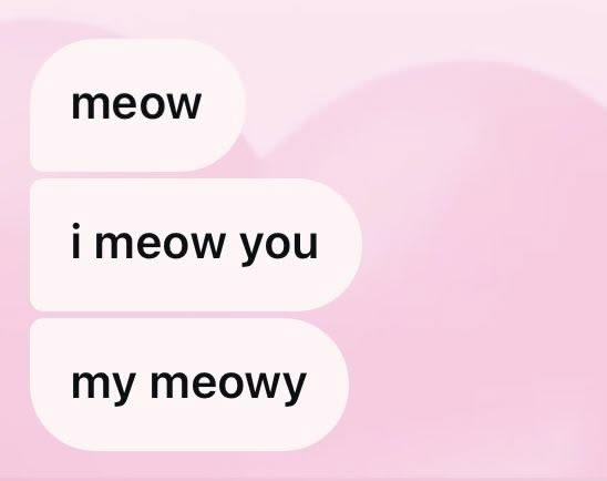kqtiitd's tweet photo. Meow https://t.co/dKFSK9ELKa