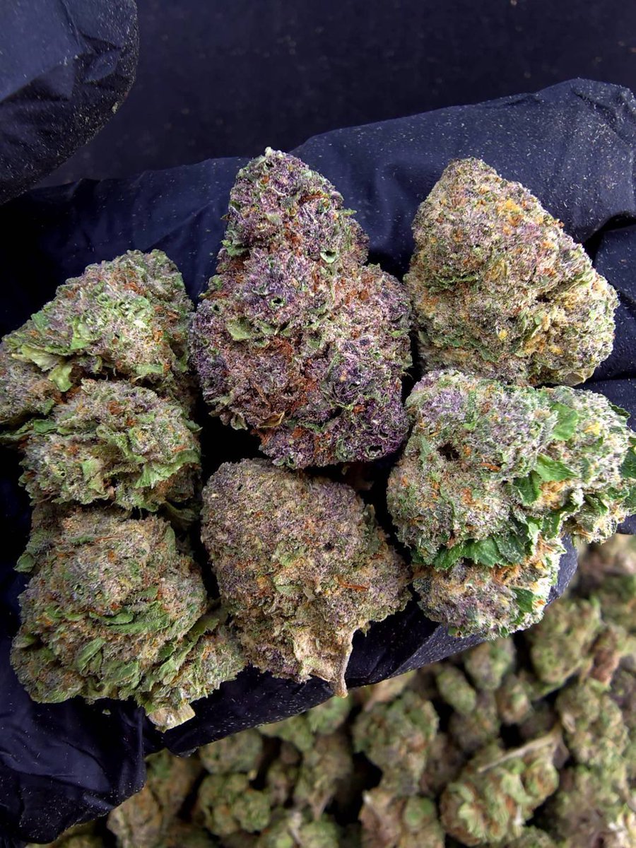 valetag4's tweet photo. 🏞️【 🌞 Evap • Farm ภาคเหนือ🪴 】🇹🇭
🥦Size Top Mid 🌞✨

🔸Top Cherry Gas 🍒⛽️
🔸Sativa60% 🔸THC30%

Aroma🔺 Pine 🌲 Pungent 🦨 Grape 🍇

💸100G = 899฿ , 1KG = 4,900฿💸

🛍️สนใจสินค้า @Line 
ทักแชท ตามสั่งได้เลยครับ🔻
Line ID (.) ▶️ 0924153858.
https://t.co/wW1z2epETi

#weed #og https://t.co/OFCeSgt7BF