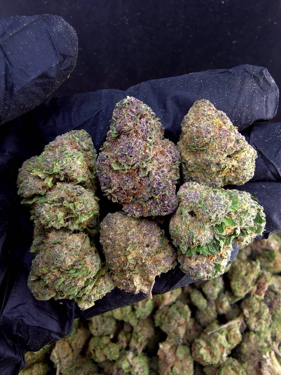 valetag4's tweet photo. 🏞️【 🌞 Evap • Farm ภาคเหนือ🪴 】🇹🇭
🥦Size Top Mid 🌞✨

🔸Top Cherry Gas 🍒⛽️
🔸Sativa60% 🔸THC30%

Aroma🔺 Pine 🌲 Pungent 🦨 Grape 🍇

💸100G = 899฿ , 1KG = 4,900฿💸

🛍️สนใจสินค้า @Line 
ทักแชท ตามสั่งได้เลยครับ🔻
Line ID (.) ▶️ 0924153858.
https://t.co/wW1z2epETi

#weed #og https://t.co/OFCeSgt7BF
