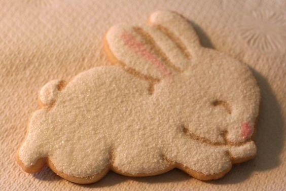 floralapine's tweet photo. stay sweet in a world so bitter, bunny ♡ https://t.co/BfJD1mRp9A