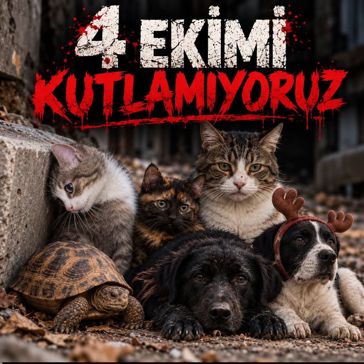 Bulut67609647's tweet photo. Her canlının yaşam hakkı kutsaldır. 
#4EkimiKutlamıyoruz https://t.co/5VsvGY2pEX