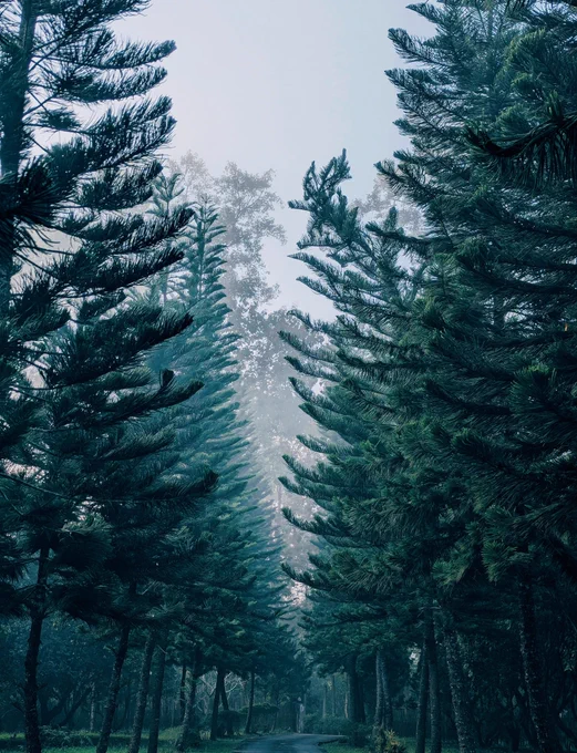 Image from Cassian Crow (@cassian_crow)