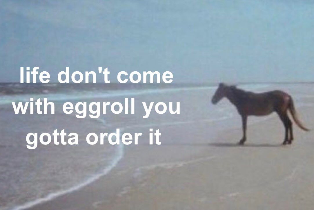 nocontextmemes's tweet photo. https://t.co/6h72PHBDIR