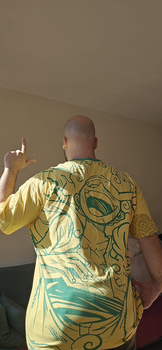 ehasnud's tweet photo. Hoje votarei pelo Brasil. 
Representado por Luffy, voto pela liberdade, o prato de comida na mesa (Sanji), saúde pública (Chopper), conhecimento (Robin), cultura (Brooke), igualdade racial (Jimbei) e soberania do próprio povo (Nami), com suas tecnologias (Franky) e defesa (Zoro) https://t.co/HtKtPU0a4x