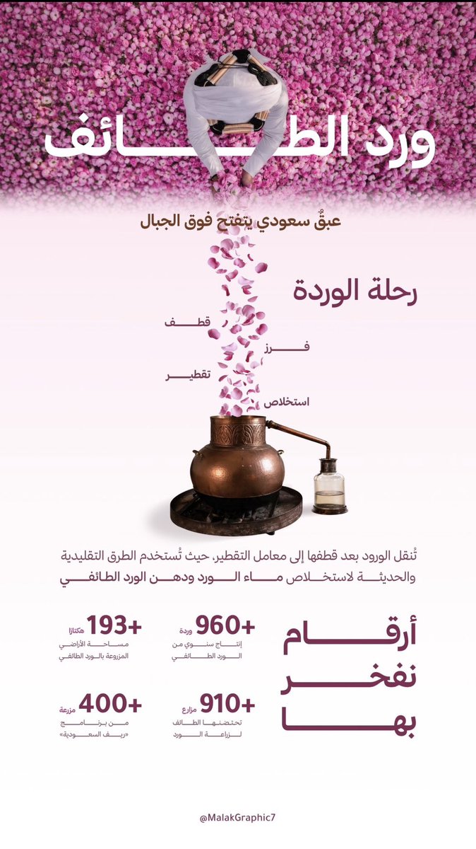 stller_sa's tweet photo. لما أحد يقول Canva ما يطلع شغل احترافي طلابنا🔥👇🏼:
@MalakGraphic7 @GreatShamuh @laobi33 

#معسكرات_ستيلر https://t.co/0XyPLpVGE6