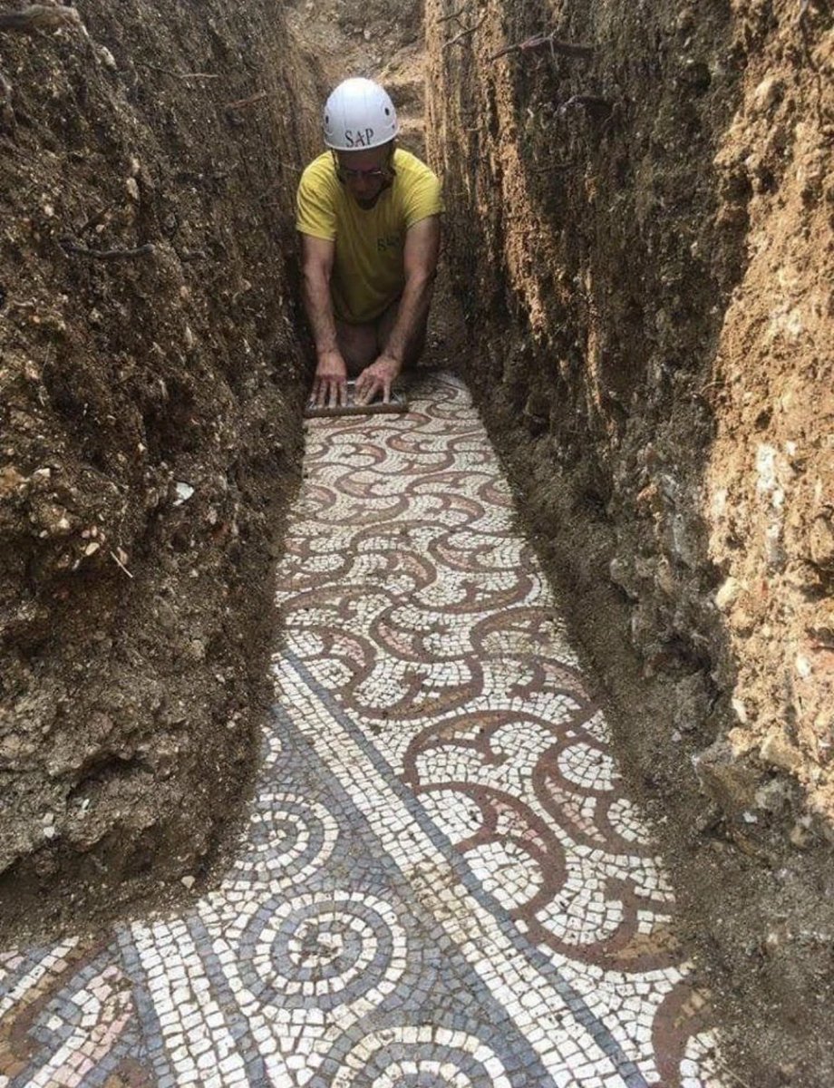 wakenminds's tweet photo. These mosaics were unearthed beneath a vineyard in Italy’s Province of Verona, near the town of Negrar. They have been dated to the 3rd to 4th centuries AD.

Mudflood.. https://t.co/QkWYLAP79y