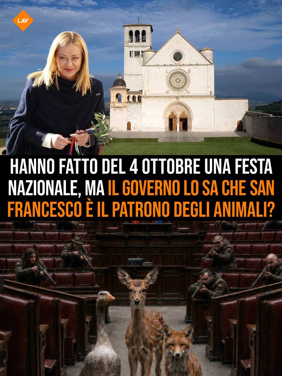 LAV_Italia's tweet photo. Che senso ha celebrare San Francesco, se poi gli animali vengono messi nel mirino? Lo scorso anno @GiorgiaMeloni omaggiava San Francesco, patrono d’Italia e degli animali. Oggi è diventata festa nazionale. Gli animali non hanno bisogno di omaggi, ma di libertà, dignità e vita! https://t.co/bup5f4mEqi