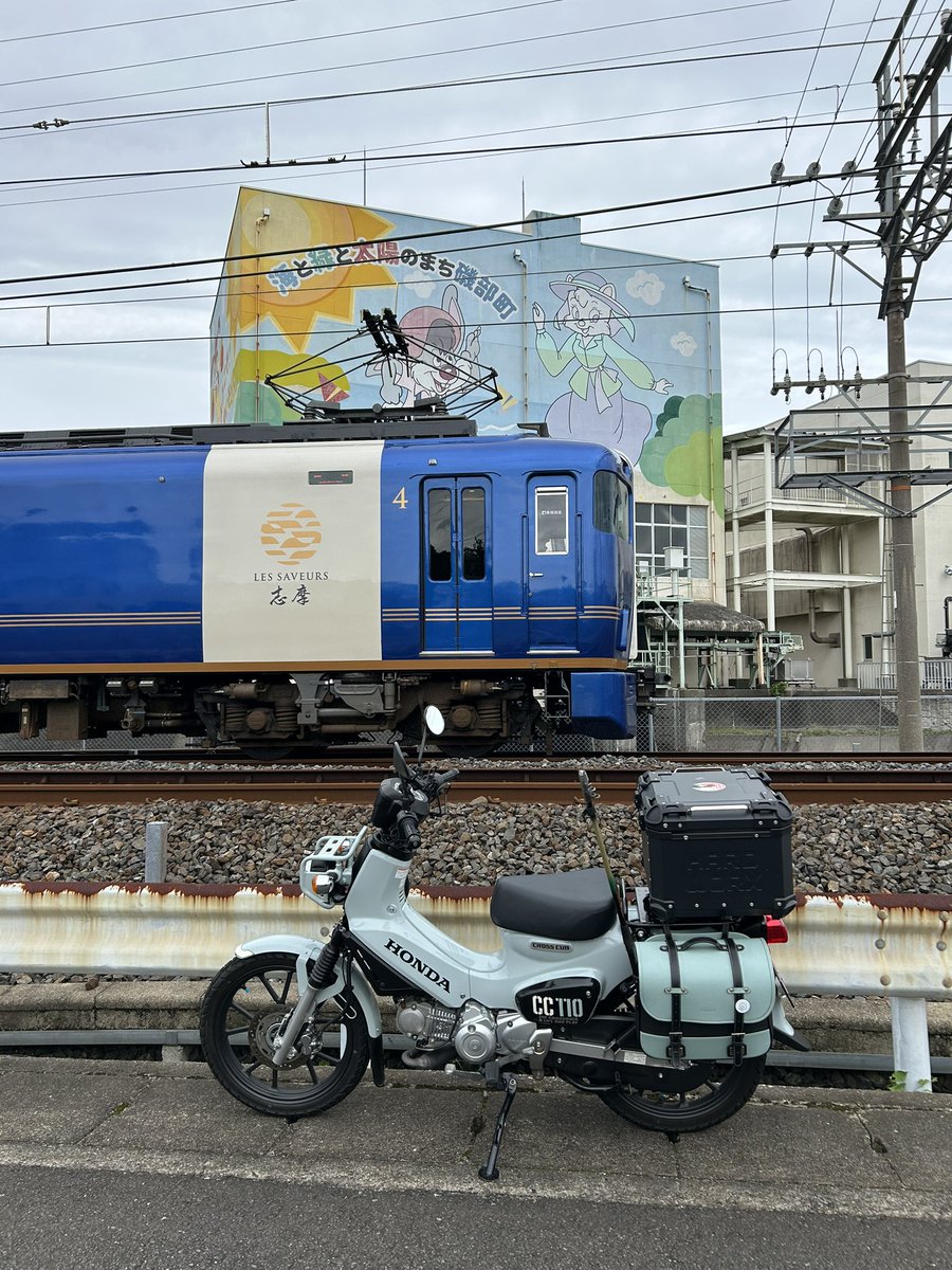 Arakakei09's tweet photo. 初めて見た。メタリックな青だなぁ https://t.co/09BJhPuKW1