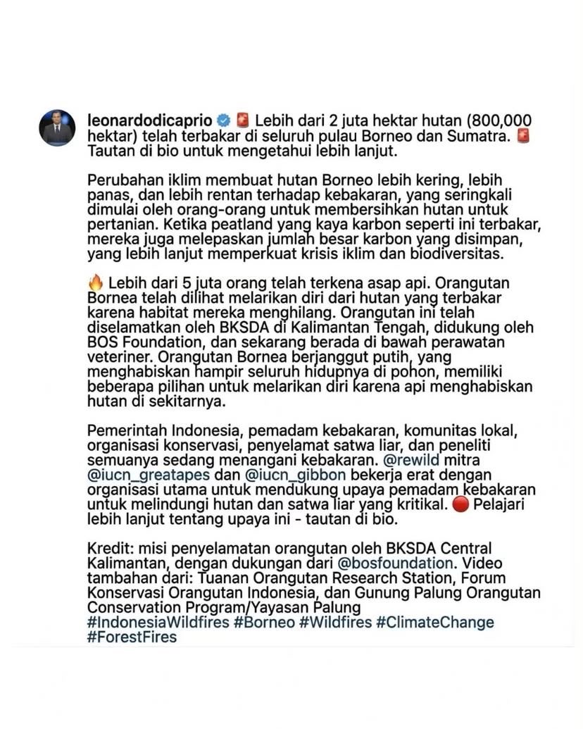 piyultwlr's tweet photo. 🤍🤍
Dunia internasional sekelas Leonardo DiCaprio sudah berteriak melihat 800 ribu hektare hutan kita hangus dan 5 juta orang tercekik asap. Sangat ironis jika kita yang hidup di atas tanah ini justru memilih bungkam. Di mana nurani dan suara kita saat ruang hidup dihancurkan? https://t.co/XVg4b2c3i0