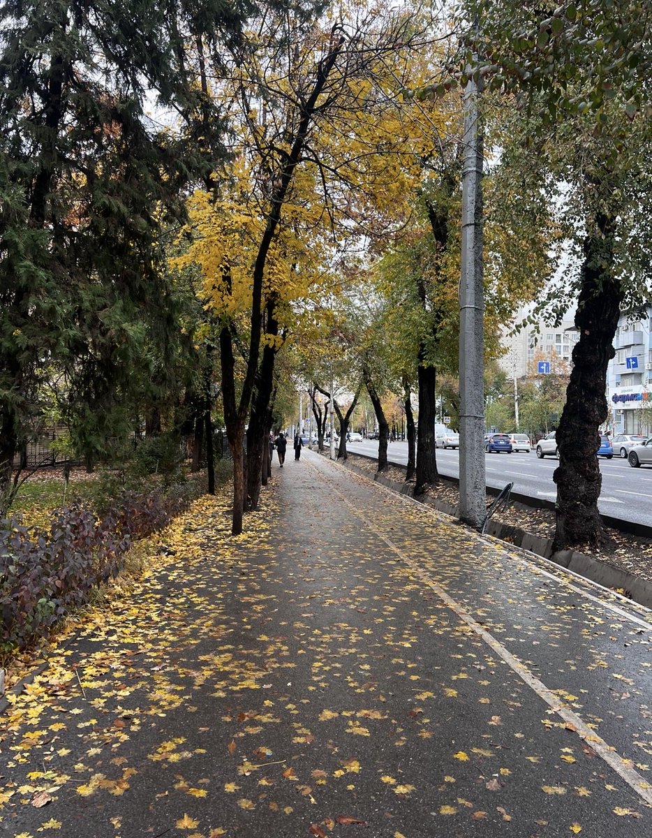 r888vn's tweet photo. i love autumn https://t.co/xybkMyxvjh