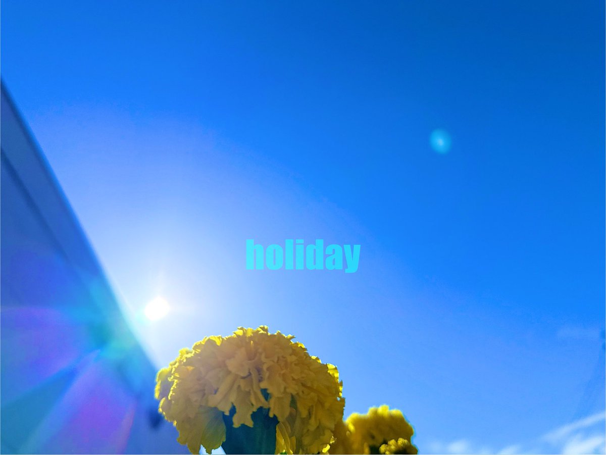 cuntamoo's tweet photo. 日中の気温
28℃くらい☁️☀︎
まだ長袖だと暑い🫠
#TLを花でいっぱいにしよう
#花のある暮らし #ファインダー越しの世界 
#ここが落ち着く #天気予報 #今年もあと https://t.co/mOqIQs67A2