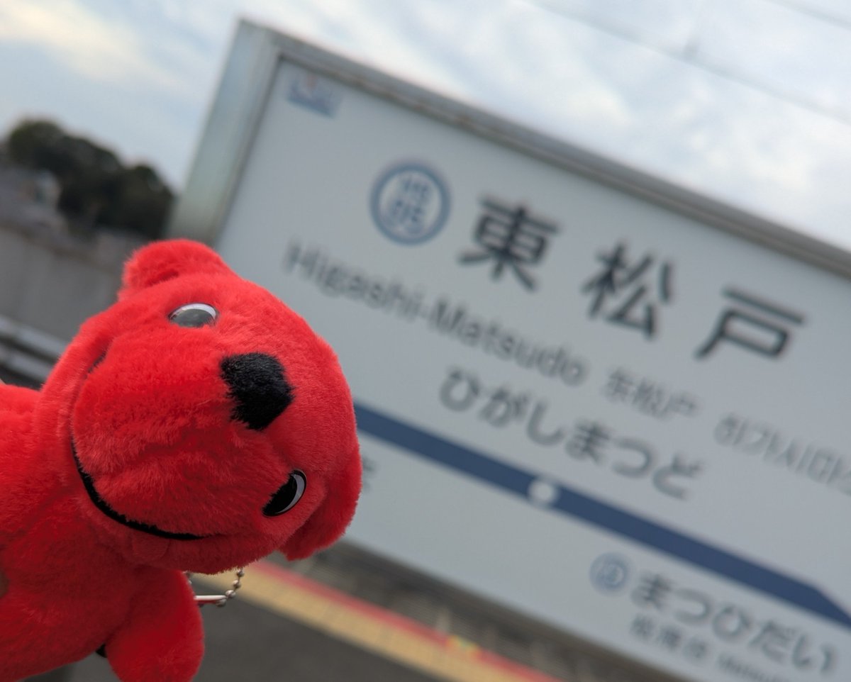 mikisuke_DPFP's tweet photo. 【東松戸vol２①】
だいたい１ヶ月ぶりの東松戸ポスティングで同じエリアでは２巡目。

気候も良く寄ってみたいなぁと以前から気になっていた東松戸ゆいの花公園にも寄りました🐸

日照不足でバラの花が上がって来てませんでしたがコスモス、サルビアレウカンサなどはきれいに咲いていました🌸

✔おさかべ智弘さんビラ　800枚

これから松戸市議選向けに同じエリアにあと１〜２回はポスティングしていき知名度向上に努めていきますょ。

✨️相棒はしばらくチーバくんです✨