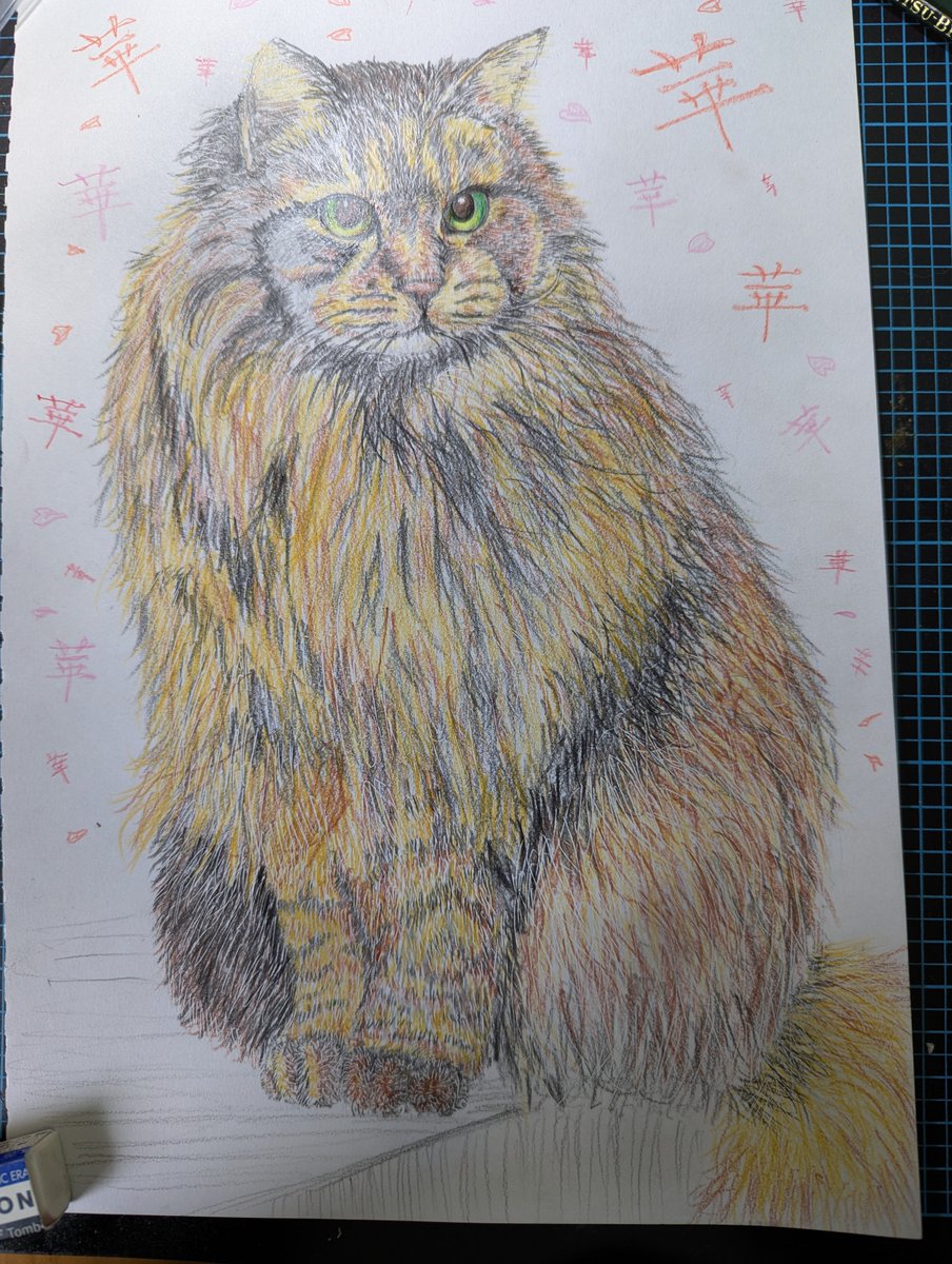 daifukuer's tweet photo. 家の華さんを色鉛筆画で描くとこんな感じ。 https://t.co/p9ypLeHbMz