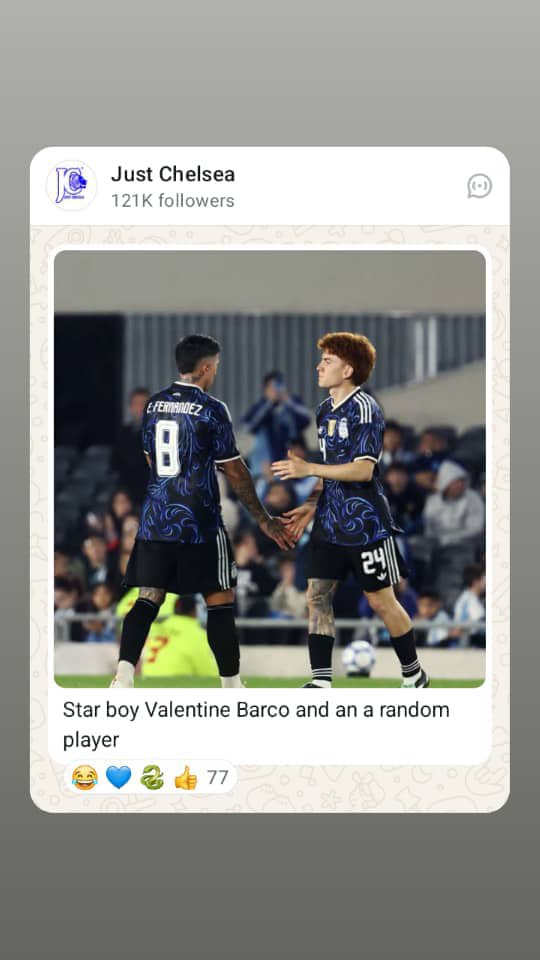 DukeLuxuryPairs's tweet photo. @ChelseaFC Good star like barco https://t.co/FbcbZw7JIR
