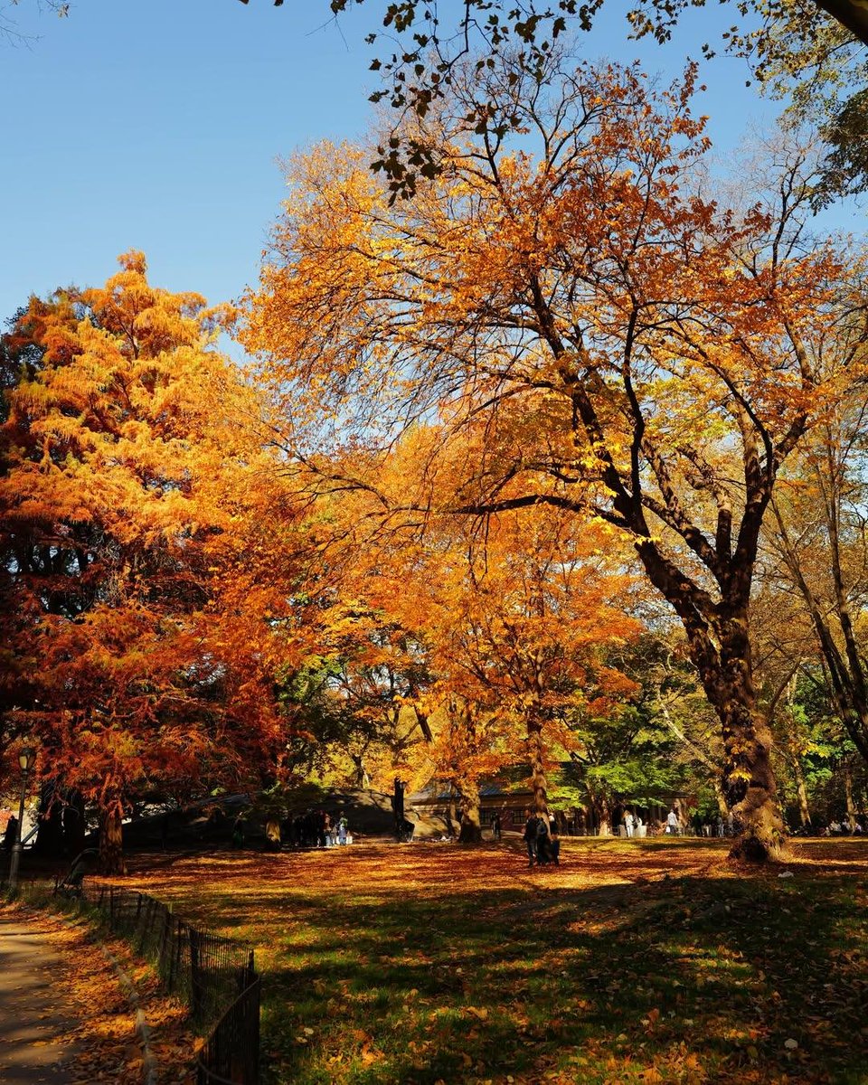 earthviewss1's tweet photo. October in New York 🇺🇸 🍂 https://t.co/ui3bfnB7ED