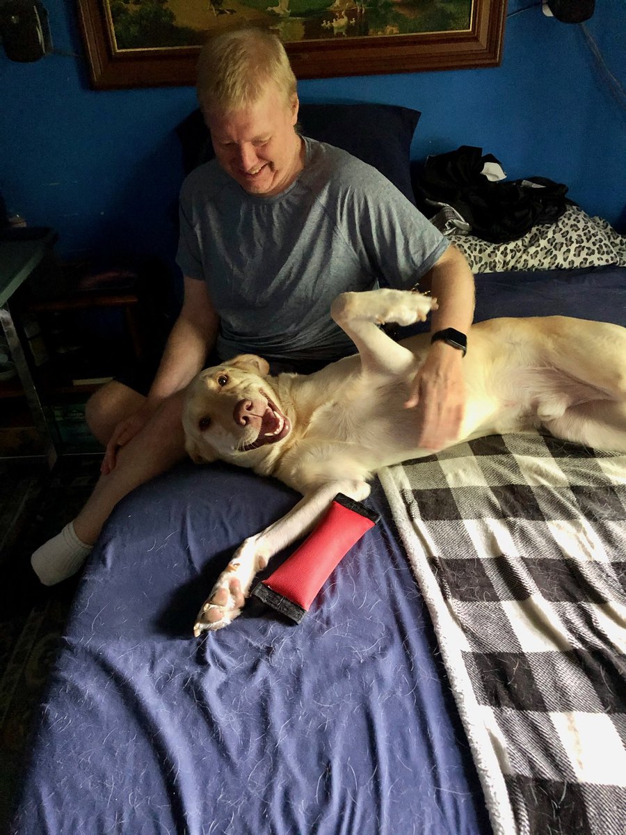scottm9000's tweet photo. Tucker passed sway last night. Best guide dog and friend. https://t.co/szD34m0OA4