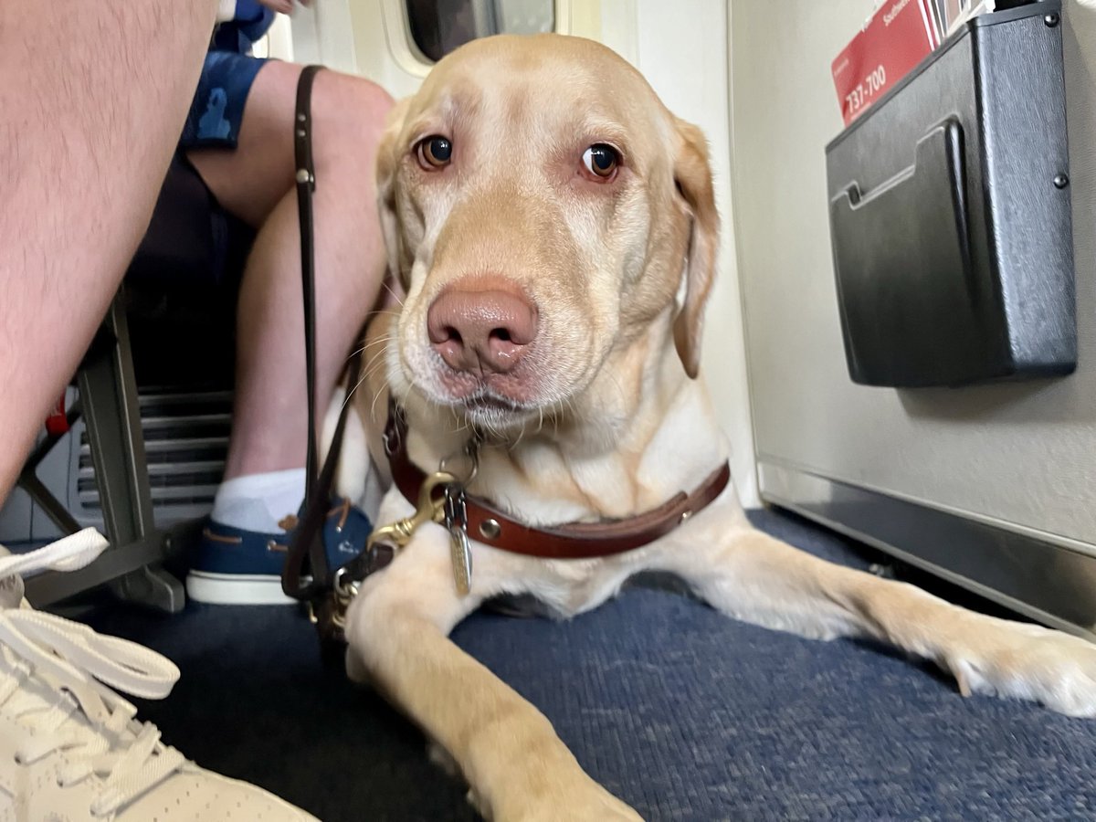 scottm9000's tweet photo. Tucker passed sway last night. Best guide dog and friend. https://t.co/szD34m0OA4