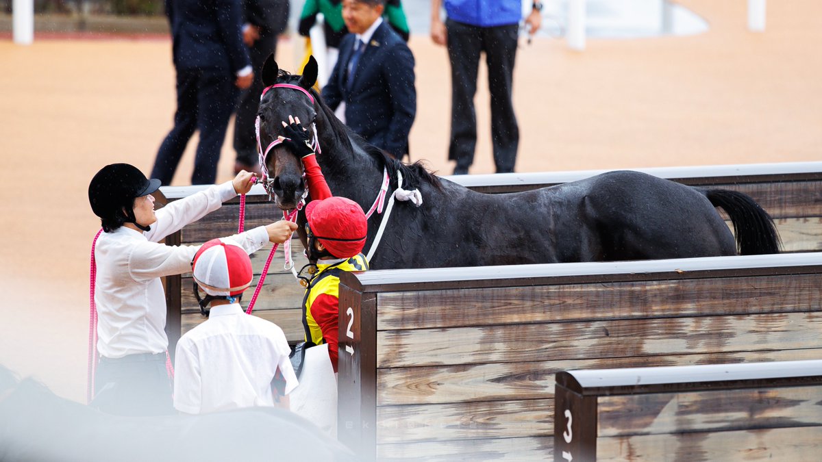 k3i0nc12's tweet photo. 2026/10/4 京都競馬場 2歳新馬

#ブライトスクリプト
#松下武士 厩舎
#池添謙一 騎手 https://t.co/D2ncZWD8iX