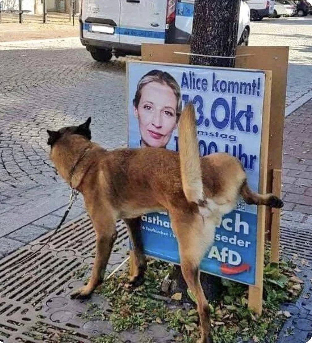 Nevermind954827's tweet photo. @BerndHcke0gfj9 Ist er das?👇🏻 https://t.co/Jp00igJzse