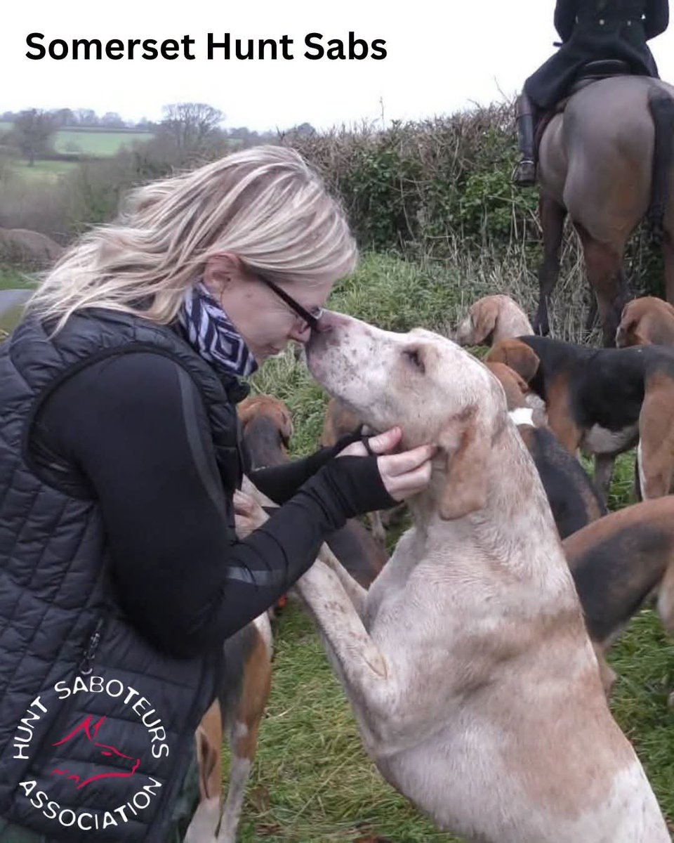 HuntSabs's tweet photo. Rest in power Lou 🖤

It saddens us to hear of the passing of Lou, a passionate advocate for animals. She was a vital member of Somerset Sabs, who have shared a heartfelt post about how fiercley Lou fought for animal rights and how much her presence will be missed. 

Thank you Lou for everything you did for animals. 

Our thoughts are with Somerset Sabs and all who had the pleasure of knowing  Lou.