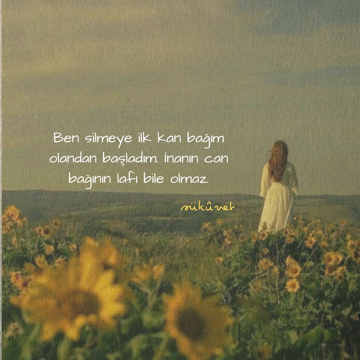 sukunnettt's tweet photo. https://t.co/g0HXPIjVPl