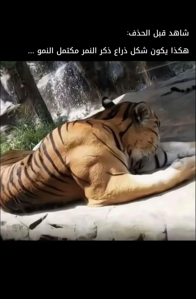 i0LDD's tweet photo. عشره على عشره والقادم اجمل https://t.co/RJI01BYYJs