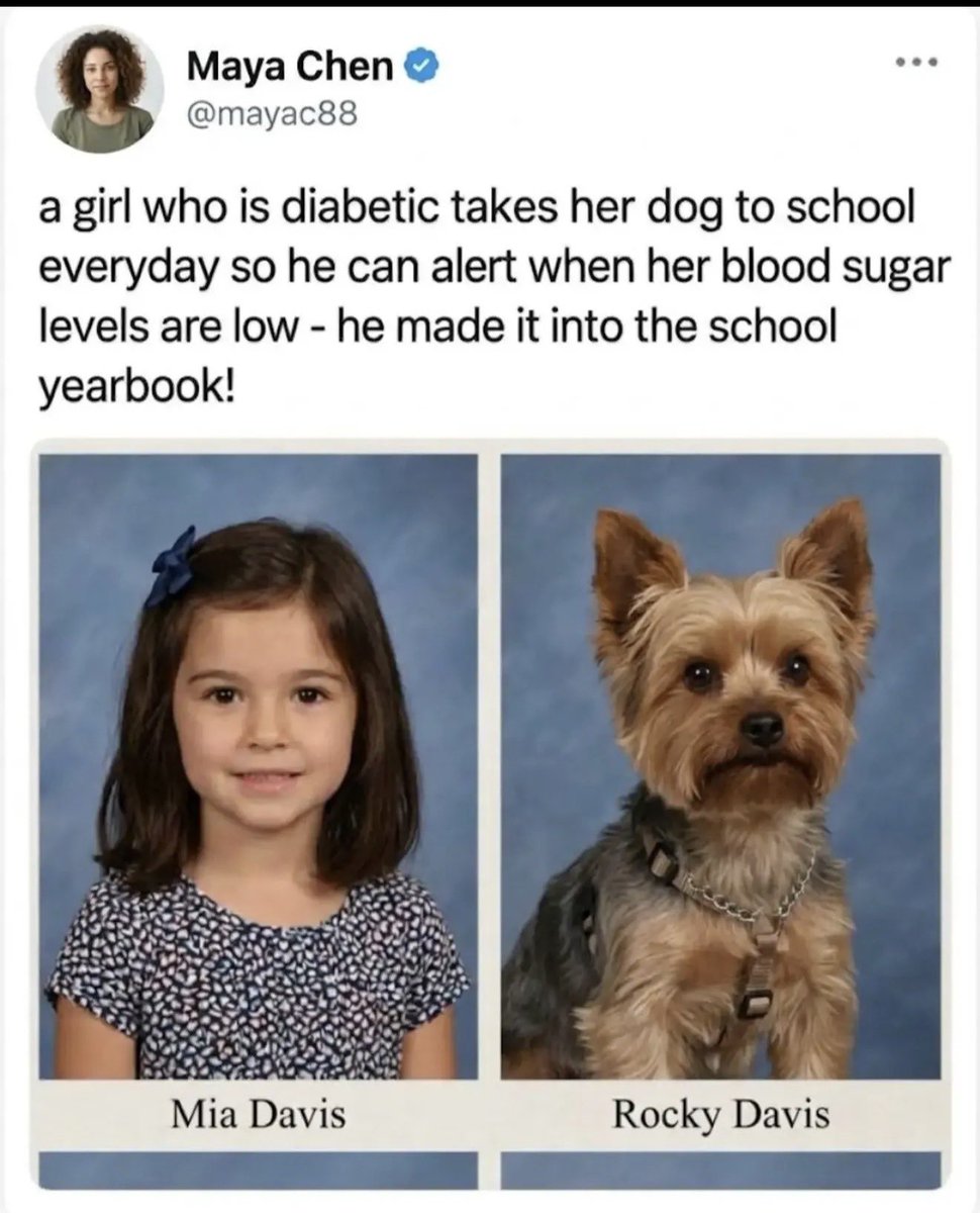 RenzTom's tweet photo. Dogs are the best! https://t.co/uctyouRzQY