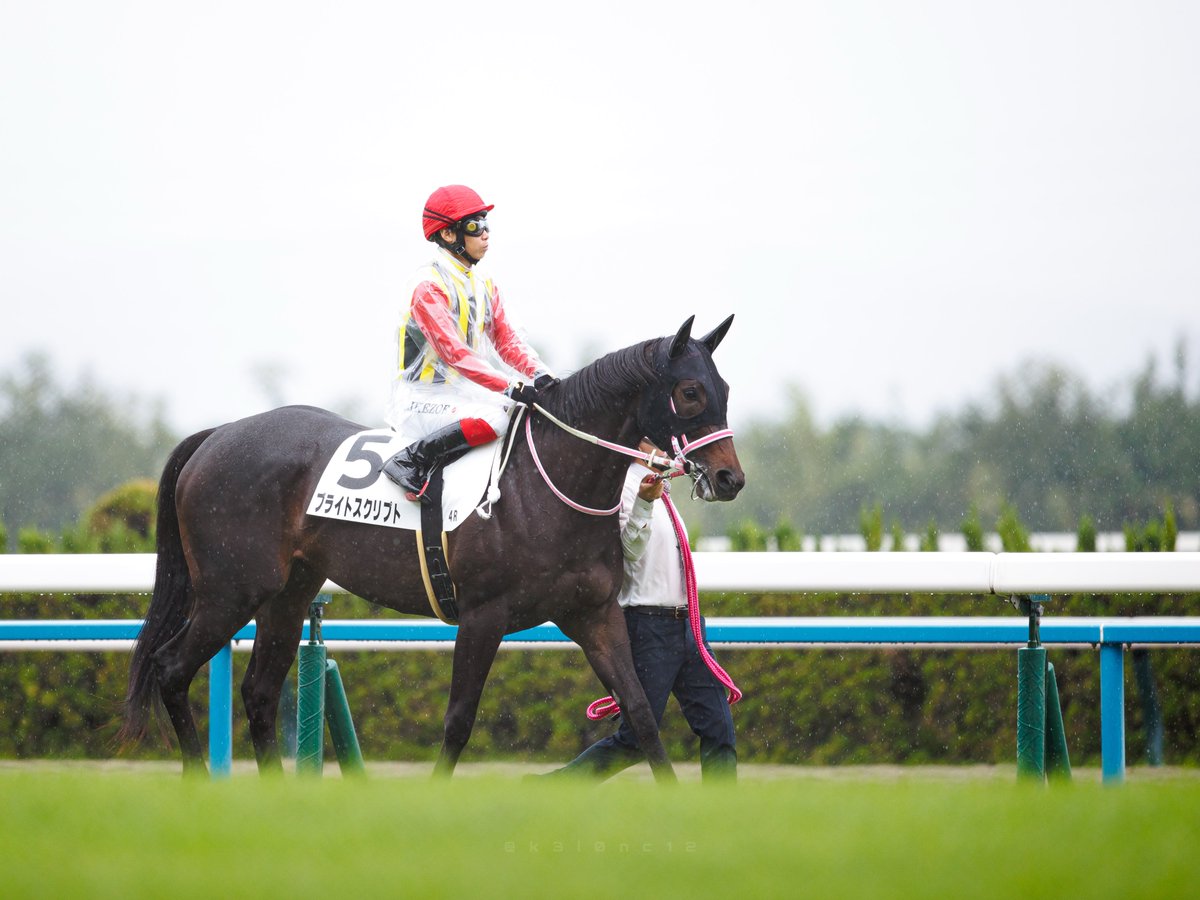 k3i0nc12's tweet photo. 2026/10/4 京都競馬場 2歳新馬

#ブライトスクリプト
#松下武士 厩舎
#池添謙一 騎手 https://t.co/F52OVXz9Px