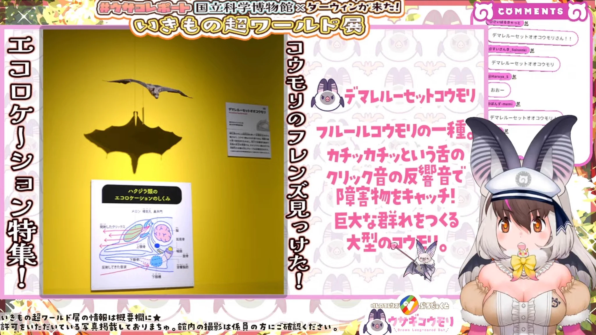 サイバルキャット on X: 