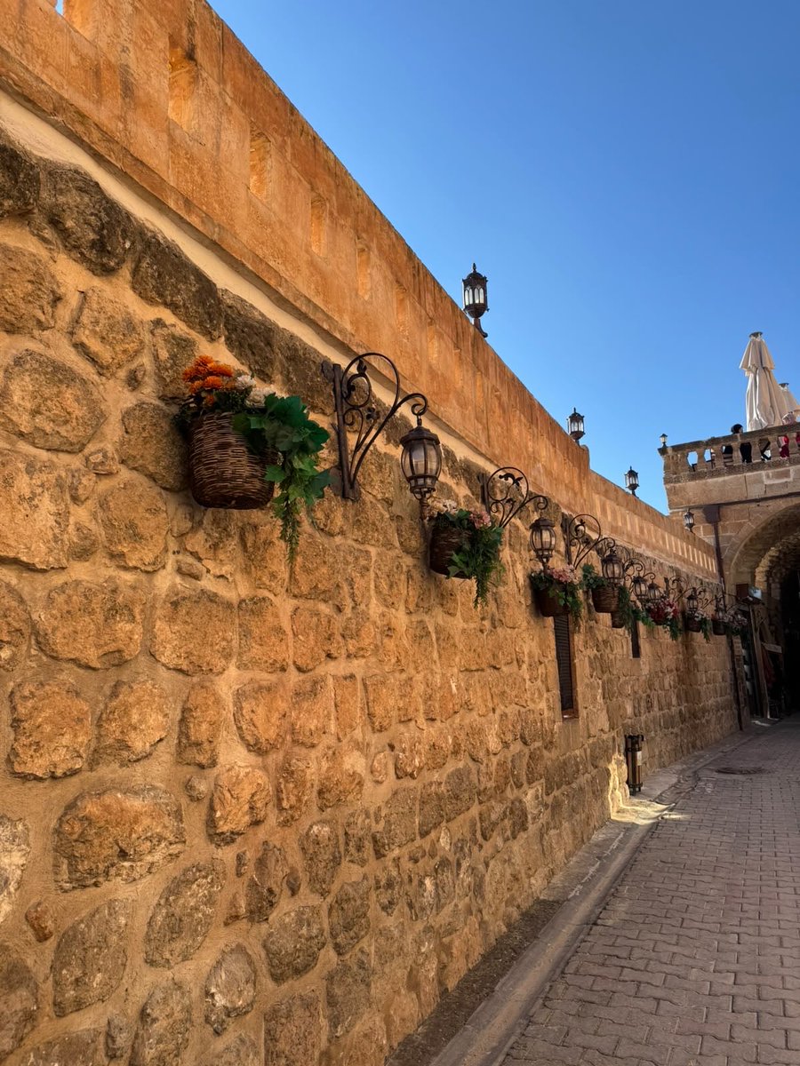 monaxeyal's tweet photo. Ji te şêrîntir tiştek tune, welatê min.
❤️☀️💚 https://t.co/DZ5Xs67ME3
