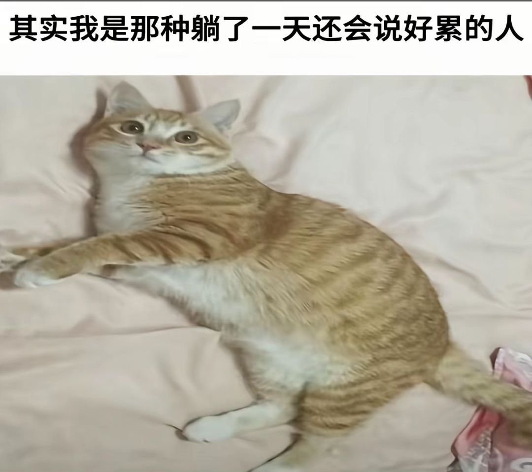 xiaolian1125's tweet photo. 呈现出一个挂机的状态 https://t.co/XHyyIk8LoT