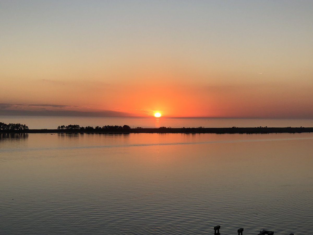 DailyBuffettX's tweet photo. The Sun shines on Biloxi
Air is filled with vapors from the sea
The boy will dig a pool beside the ocean
He sees creatures from his dreams underwater
And the Sun will set from off towards New Orleans https://t.co/cf6AOX7fKe