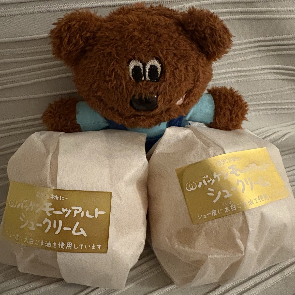 dandy2adachi's tweet photo. モンスターを飲んでも週末モンスターになれなかった安達は、久しぶりに空き時間がちょっとあるので仮眠モ��スターになってます！！ https://t.co/CZogKInjLI
