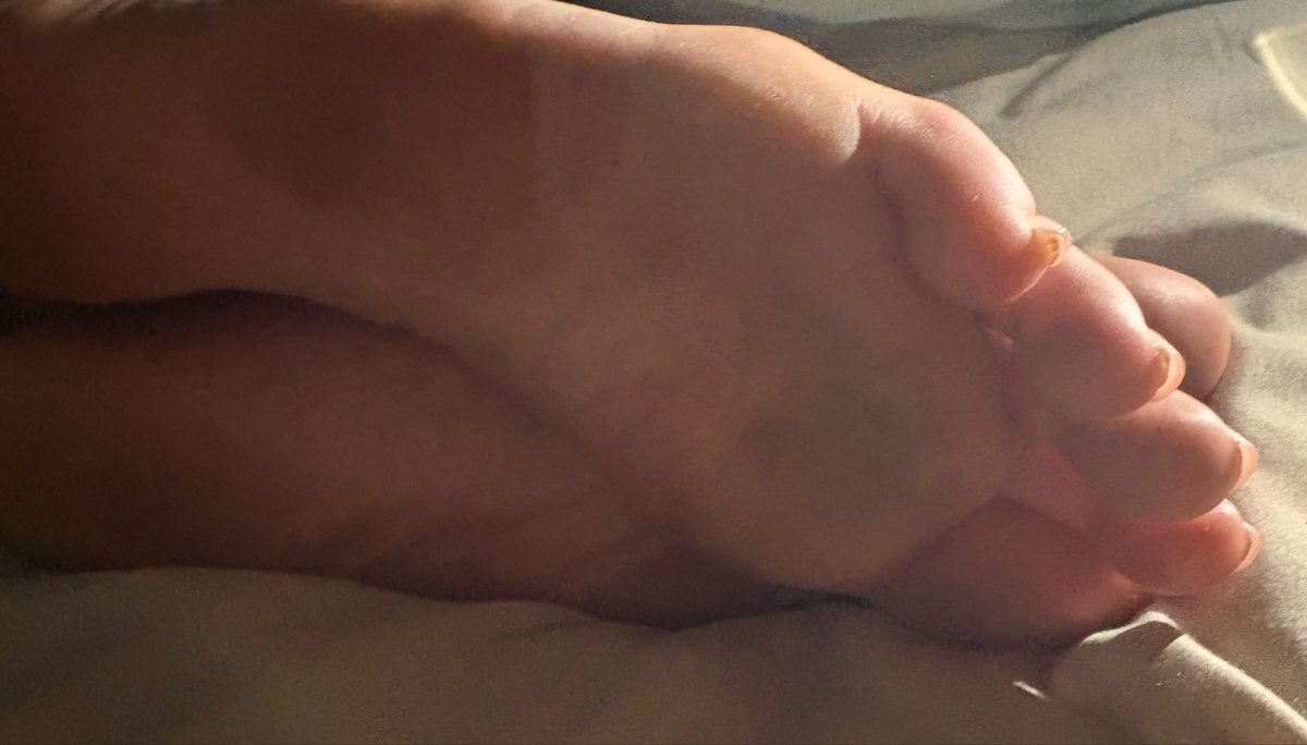 toe_smores's tweet photo. Morning. Snuggly Sundays! 
Soles ☺️
He kissed my feet last night, he sucked my toes. Then when I thought it wouldn’t get any better he used my feet to finish himself off. 🥵 
Subscribe for the whole video. 
Dm me for custom feet footage. 
Would you lick my feet clean afterwards? https://t.co/V3znrI9SPV