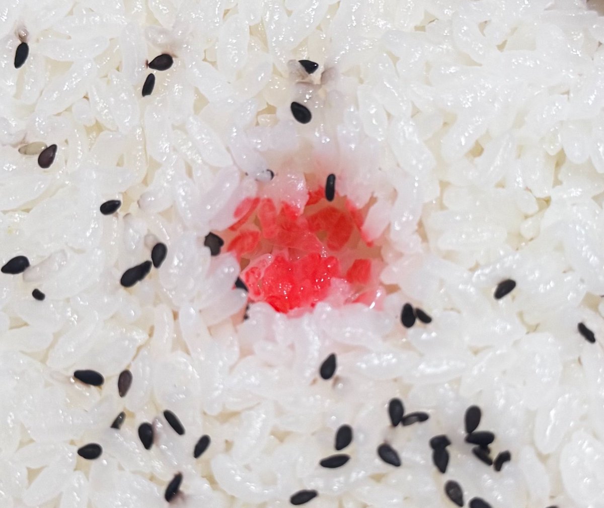 Baijuen_Umebosi's tweet photo. 梅干しを置いていた下のご飯って美味しくないですか？ https://t.co/w2lhldlnL2