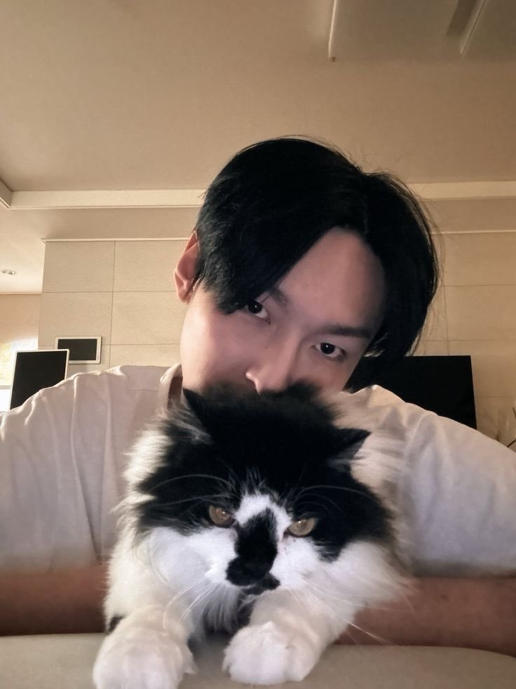 TlcFantasy9's tweet photo. I have no words :( rest easy Pangie. Sweet fluffy baby. You will always be loved and remembered https://t.co/hxsXgHVXCP