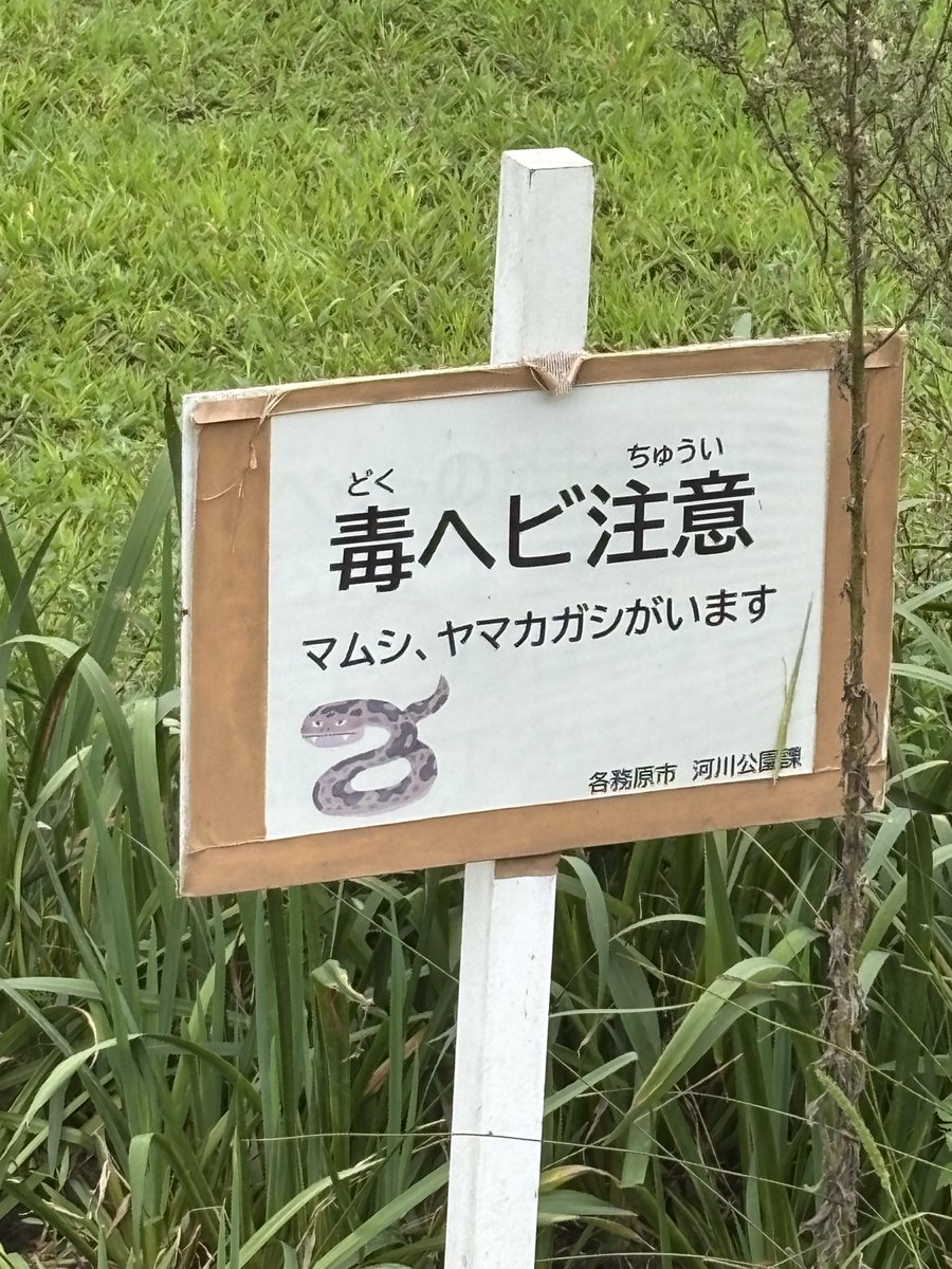 Aru_sando's tweet photo. https://t.co/8ebKV8Cjfj