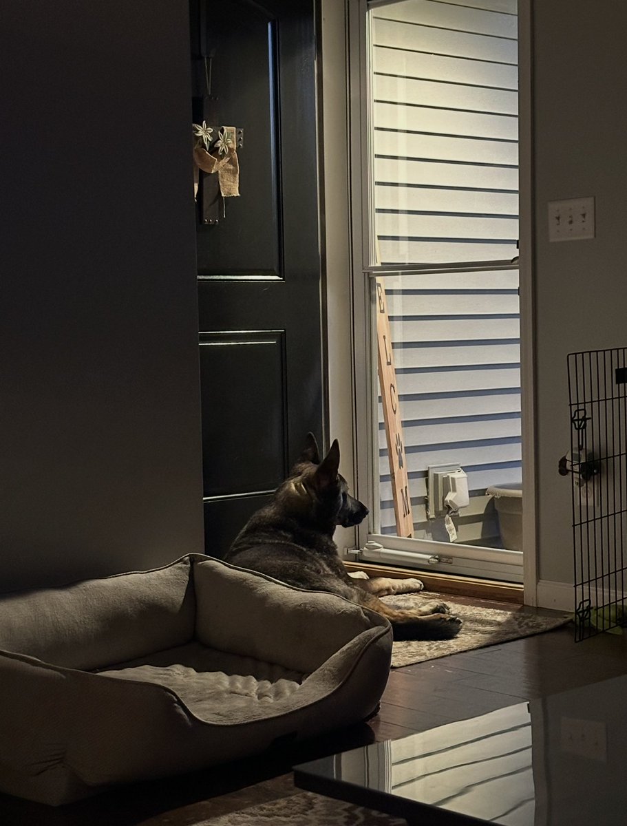 Jbirdfit's tweet photo. It's Sunday morning at 6:34 I've been up for an hour just sitting here drinking coffee, had a rice cake with peanut butter, took my meds which is a new thing this year as we trying to figure out what comes next, and now I'm just watching Chloe lay by the front door. Life is both complicated and good. Amen.