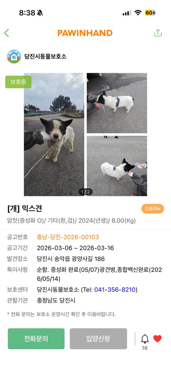 findmypaw's tweet photo. 입소 7개월째 ㅠㅠ 중성화까지 된 여아 데려가세요
너무 귀여운 테리어 바둑인데 정말 아무도 안 데려가네요

충남 당진 보호소
041-356-8210 https://t.co/u4WSWcYULd