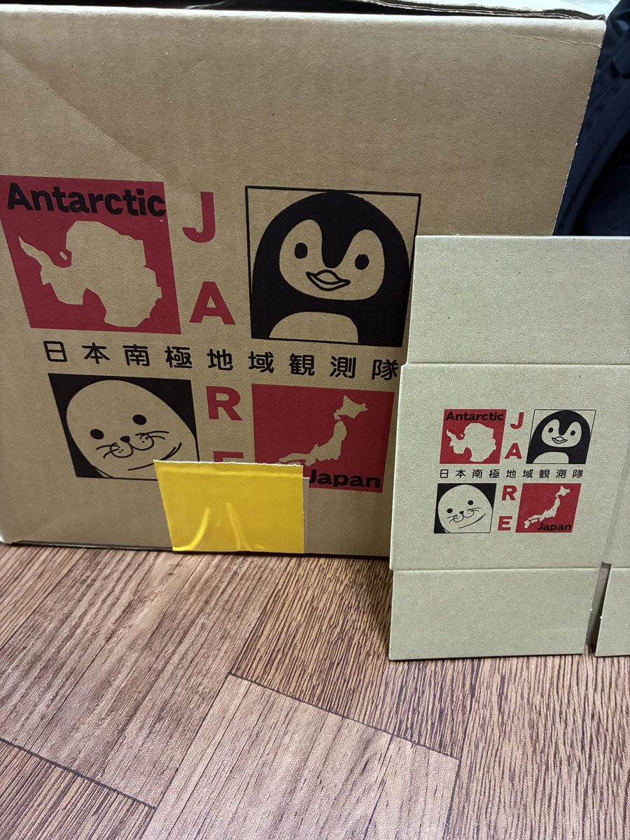 uepuep's tweet photo. 昨日の極地研公開の来場者プレゼントのミニ小ダン。カワイイねぇ。
単体写真だとホンモノと見分けつかないので、本物の小ダンと比べてみた。 https://t.co/XUmKj41HfH