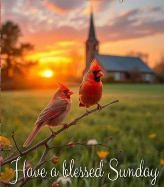 PKTenn's tweet photo. Good morning everyone!☕☕🌥️🍁🍂🎃🇺🇸🇺🇸 Have a blessed Sunday!🤗❤️🙏 https://t.co/aTbBtRpryi