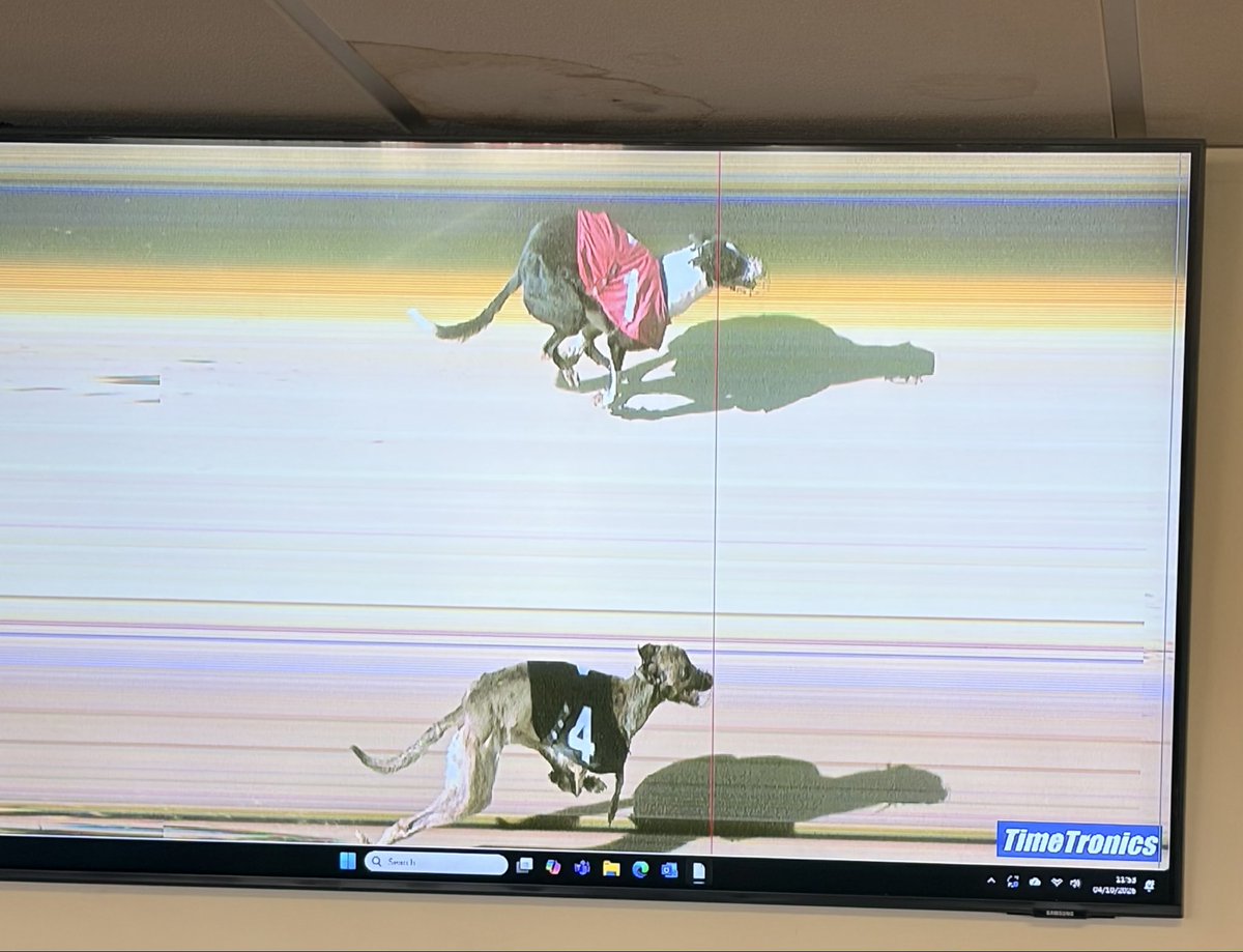 vivysu's tweet photo. The girls are doing us proud this weekend as Gabby gets her nose in front on the line to win this morning ❤️ https://t.co/2CAruoDOjo