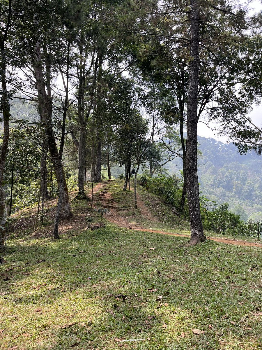 aboutnab_'s tweet photo. Bukit daolong 🫶🏻 https://t.co/bc0vQn6OFB