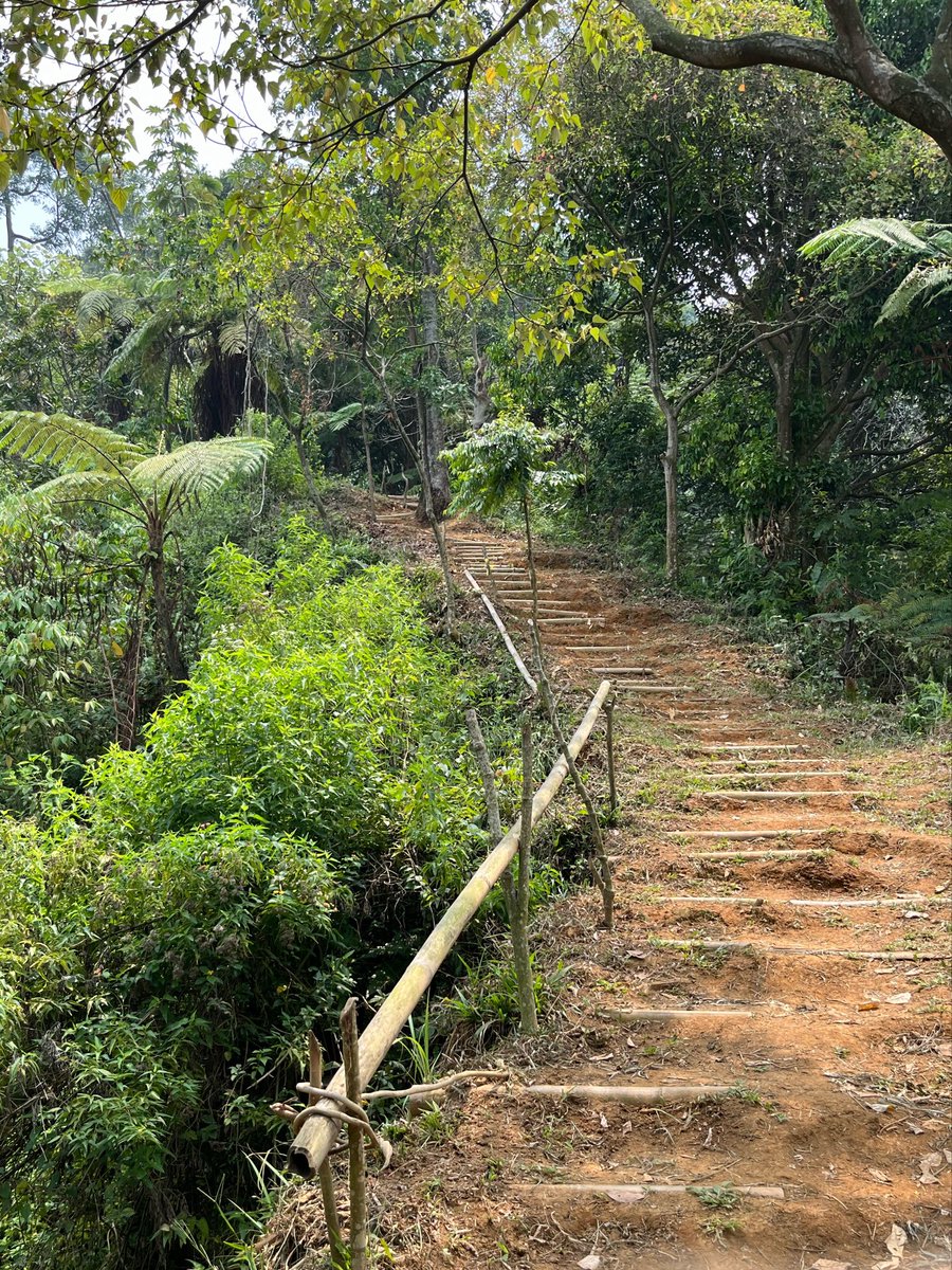 aboutnab_'s tweet photo. Bukit daolong 🫶🏻 https://t.co/bc0vQn6OFB